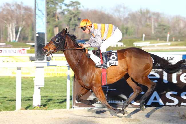 Photo d'arrivée de la course pmu PRIX DU CONSEIL GENERAL DES PYRENEES-ATLANTIQUES à PAU le Mercredi 4 janvier 2017