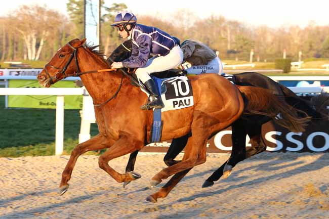 Photo d'arrivée de la course pmu PRIX DE MAUCOR à PAU le Mercredi 4 janvier 2017