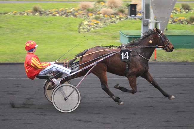 Photo d'arrivée de la course pmu PRIX DE SAINT-BRIEUC à PARIS-VINCENNES le Mercredi 4 janvier 2017