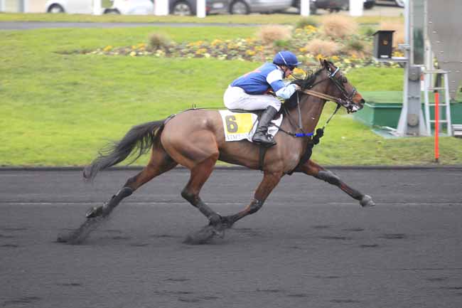 Photo d'arrivée de la course pmu PRIX DE RAULHAC à PARIS-VINCENNES le Mercredi 4 janvier 2017