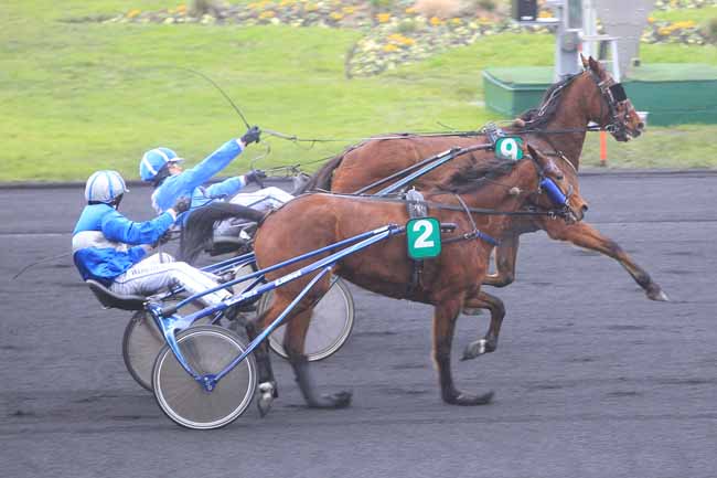 Photo d'arrivée de la course pmu PRIX DE GRAY à PARIS-VINCENNES le Mercredi 4 janvier 2017