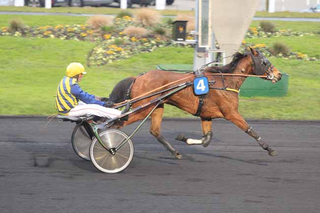 Photo d'arrivée de la course pmu PRIX DE PITHIVIERS à PARIS-VINCENNES le Mercredi 4 janvier 2017