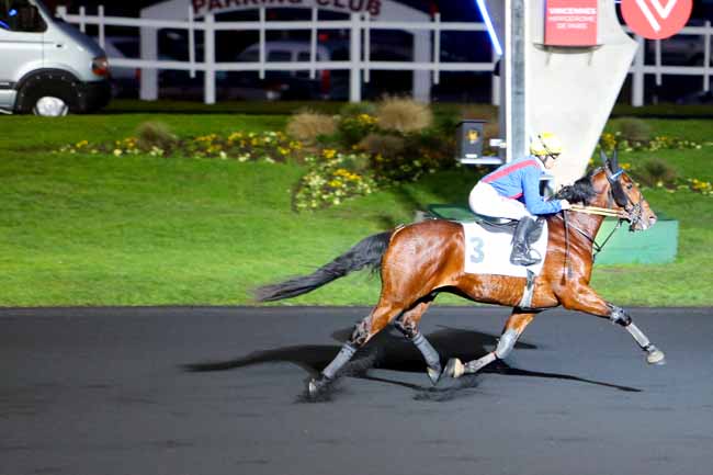 Photo d'arrivée de la course pmu PRIX DE GUERLESQUIN à PARIS-VINCENNES le Jeudi 5 janvier 2017