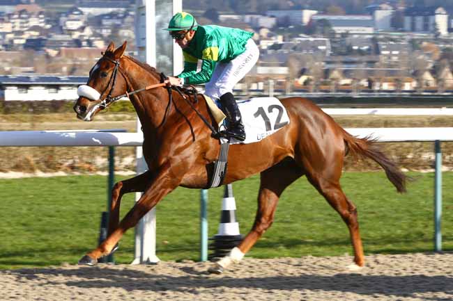 Photo d'arrivée de la course pmu PRIX DU GRAND LYS à DEAUVILLE le Jeudi 5 janvier 2017