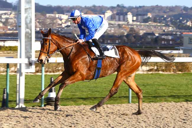 Photo d'arrivée de la course pmu PRIX DE LA MARE ELAN à DEAUVILLE le Jeudi 5 janvier 2017