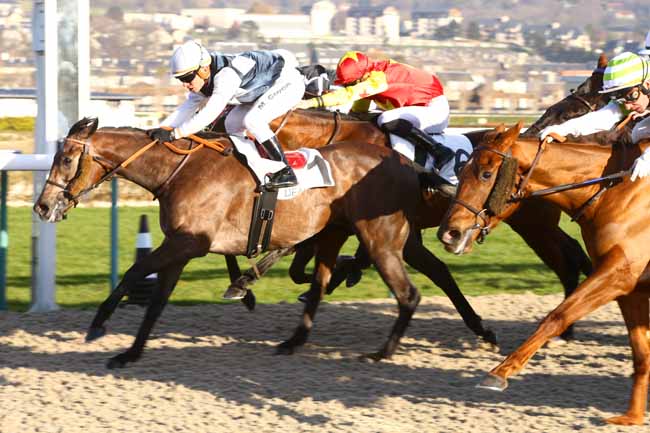 Photo d'arrivée de la course pmu PRIX D'HASPEL à DEAUVILLE le Jeudi 5 janvier 2017