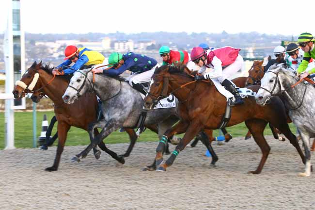 Photo d'arrivée de la course pmu PRIX DE BRULLEMAIL à DEAUVILLE le Jeudi 5 janvier 2017