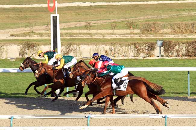 Photo d'arrivée de la course pmu PRIX DE MARTAINVILLE à DEAUVILLE le Vendredi 6 janvier 2017