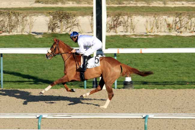 Photo d'arrivée de la course pmu PRIX D'EPREVILLE à DEAUVILLE le Vendredi 6 janvier 2017