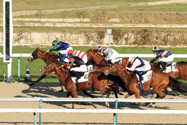 Photo d'arrivée de la course pmu PRIX DES VILLAS DE BENERVILLE à DEAUVILLE le Vendredi 6 janvier 2017