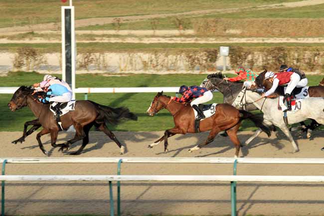 Photo d'arrivée de la course pmu PRIX DE COLOMBIERES à DEAUVILLE le Vendredi 6 janvier 2017