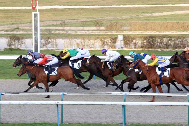 Photo d'arrivée de la course pmu PRIX DE LA VILLA COEUR VOLANT à DEAUVILLE le Vendredi 6 janvier 2017