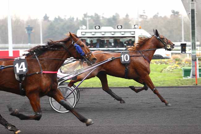 Photo d'arrivée de la course pmu PRIX DE GONTAUD à PARIS-VINCENNES le Samedi 7 janvier 2017