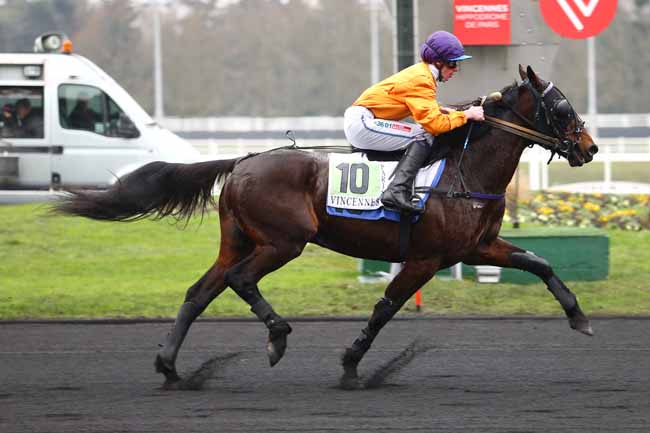 Photo d'arrivée de la course pmu PRIX LEON TACQUET à PARIS-VINCENNES le Samedi 7 janvier 2017