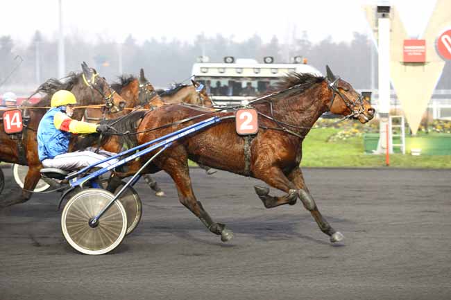 Photo d'arrivée de la course pmu PRIX DE MAISONS-ALFORT à PARIS-VINCENNES le Samedi 7 janvier 2017