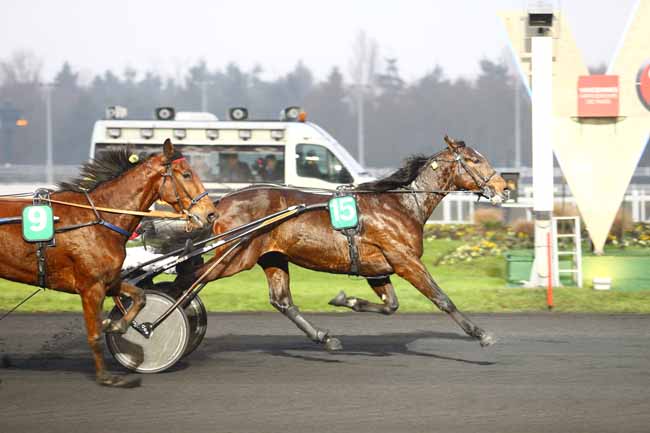 Photo d'arrivée de la course pmu PRIX DE CHATEAUGIRON à PARIS-VINCENNES le Samedi 7 janvier 2017
