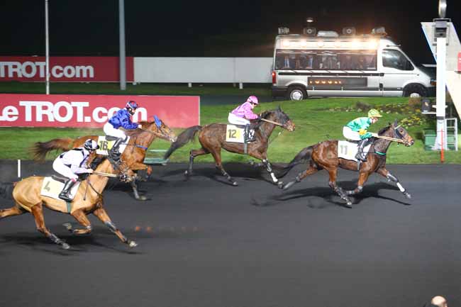 Photo d'arrivée de la course pmu PRIX DE MAROLLES à PARIS-VINCENNES le Samedi 7 janvier 2017