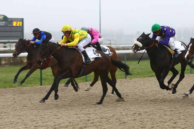 Photo d'arrivée de la course pmu PRIX DU BOIS CARROUGES à DEAUVILLE le Samedi 7 janvier 2017