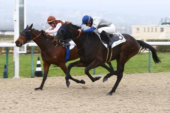 Photo d'arrivée de la course pmu PRIX DU BOIS-AUX-PROUX à DEAUVILLE le Samedi 7 janvier 2017