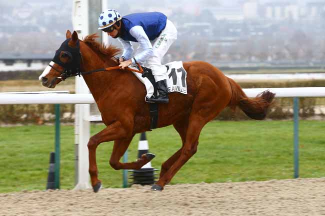 Photo d'arrivée de la course pmu PRIX DE SAINTE-MERE EGLISE à DEAUVILLE le Samedi 7 janvier 2017