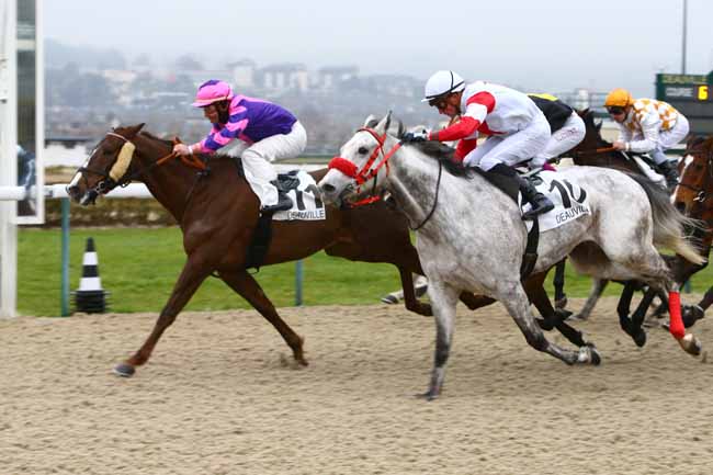 Photo d'arrivée de la course pmu PRIX DE SAINT-VAAST LA HOUGUE à DEAUVILLE le Samedi 7 janvier 2017