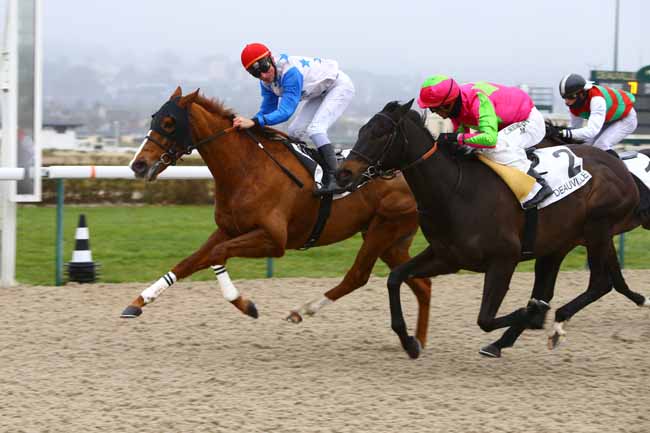 Photo d'arrivée de la course pmu PRIX DE SAINT-SAUVEUR-LE-VICOMTE à DEAUVILLE le Samedi 7 janvier 2017