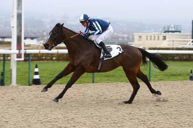 Photo d'arrivée de la course pmu PRIX DE L'AURETTE à DEAUVILLE le Samedi 7 janvier 2017