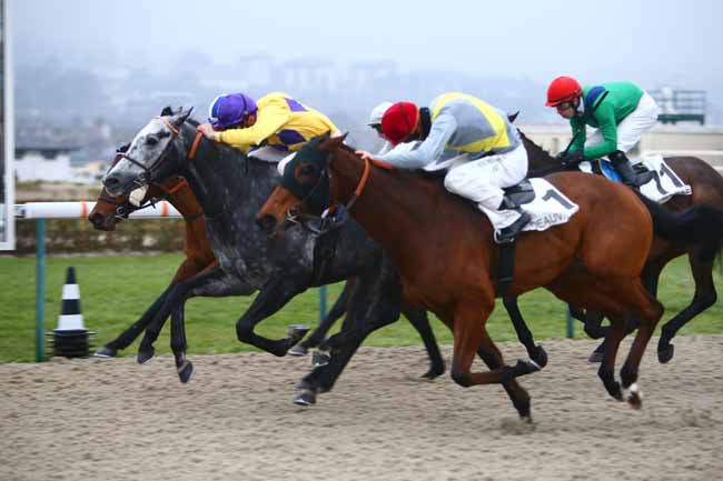 Photo d'arrivée de la course pmu PRIX DE L'AURE à DEAUVILLE le Samedi 7 janvier 2017