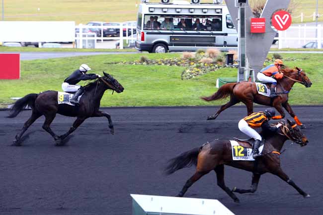 Photo d'arrivée de la course pmu PRIX CHRISTELLE ZIMMER à PARIS-VINCENNES le Lundi 9 janvier 2017