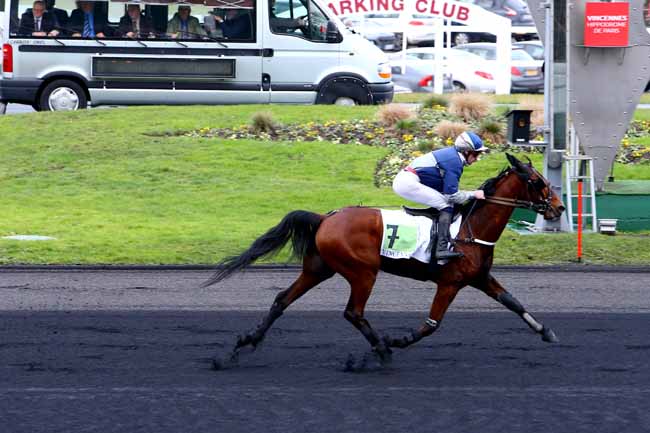 Photo d'arrivée de la course pmu PRIX DE FORCALQUIER à PARIS-VINCENNES le Mardi 10 janvier 2017