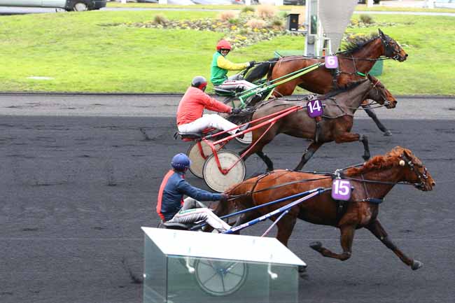 Photo d'arrivée de la course pmu PRIX DE FENEU (GR B) à PARIS-VINCENNES le Mardi 10 janvier 2017