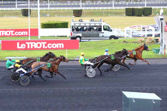 Photo d'arrivée de la course pmu PRIX DE RIBEAUVILLE à PARIS-VINCENNES le Mardi 10 janvier 2017