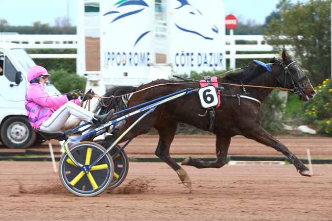 Photo d'arrivée de la course pmu PRIX DE LA COTE D'EMERAUDE à CAGNES-SUR-MER le Mercredi 11 janvier 2017