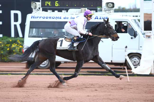 Photo d'arrivée de la course pmu PRIX DE LA COTE D'AMOUR à CAGNES-SUR-MER le Mercredi 11 janvier 2017