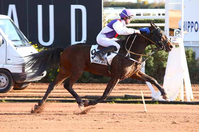 Photo d'arrivée de la course pmu PRIX HULK DE GODISSON à CAGNES-SUR-MER le Jeudi 12 janvier 2017