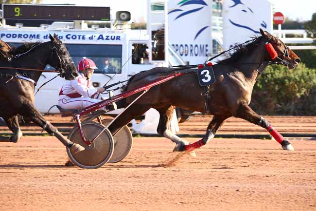 Photo d'arrivée de la course pmu PRIX DE CAGNES-SUR-MER à CAGNES-SUR-MER le Jeudi 12 janvier 2017