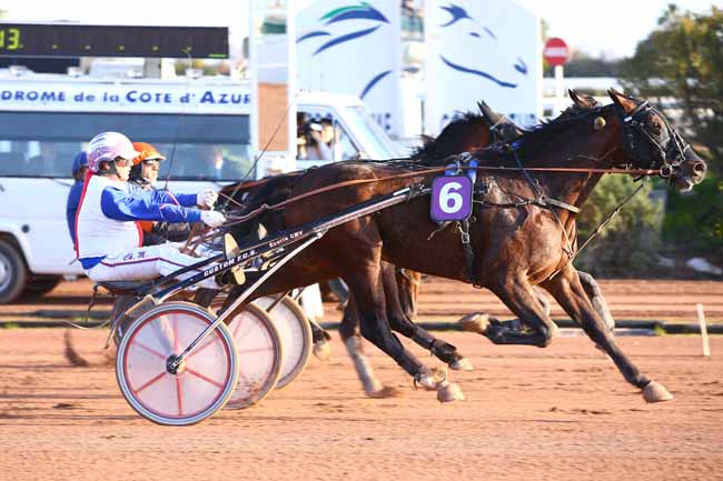 Photo d'arrivée de la course pmu PRIX PIERRE BOCQUET à CAGNES-SUR-MER le Jeudi 12 janvier 2017