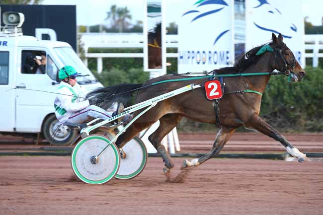 Photo d'arrivée de la course pmu PRIX PROMISING CATCH (GR B) à CAGNES-SUR-MER le Jeudi 12 janvier 2017