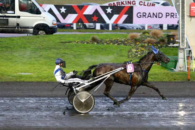 Photo d'arrivée de la course pmu PRIX DE TOULOUSE à PARIS-VINCENNES le Dimanche 15 janvier 2017