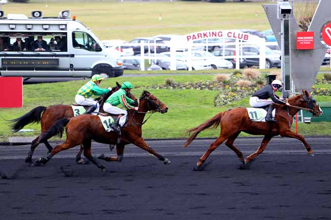 Photo d'arrivée de la course pmu PRIX DE CHERBOURG à PARIS-VINCENNES le Lundi 16 janvier 2017