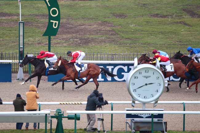 Photo d'arrivée de la course pmu PRIX DE LA ROUTE LONGUE à CHANTILLY le Lundi 16 janvier 2017