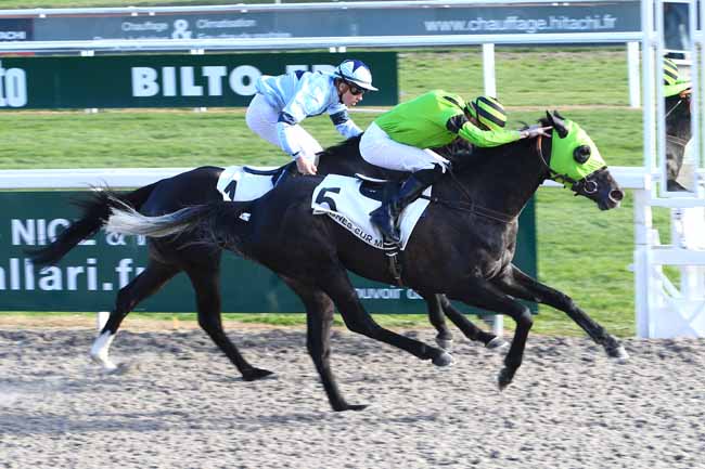 Photo d'arrivée de la course pmu PRIX DE LA CORNICHE FLEURIE à CAGNES-SUR-MER le Mercredi 18 janvier 2017
