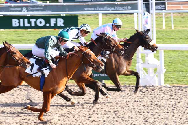 Photo d'arrivée de la course pmu PRIX DE LA PROMENADE DES ANGLAIS à CAGNES-SUR-MER le Mercredi 18 janvier 2017