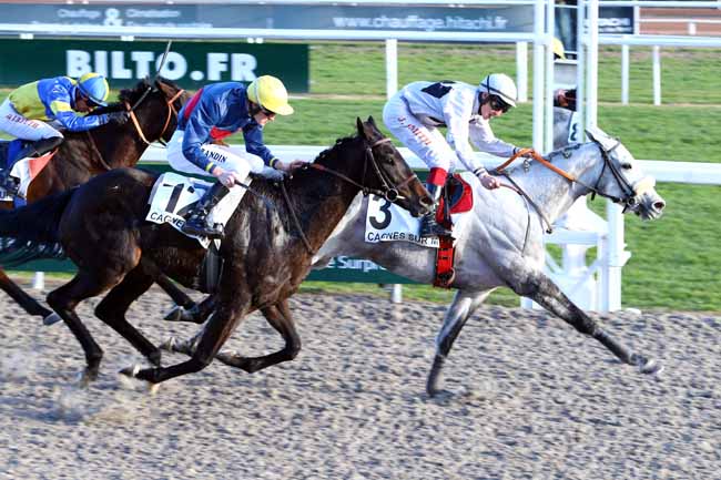 Photo d'arrivée de la course pmu PRIX DE GRASSE à CAGNES-SUR-MER le Mercredi 18 janvier 2017
