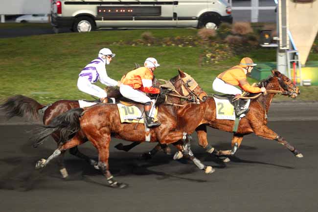 Photo d'arrivée de la course pmu PRIX DE PONT-A-MOUSSON à PARIS-VINCENNES le Jeudi 19 janvier 2017