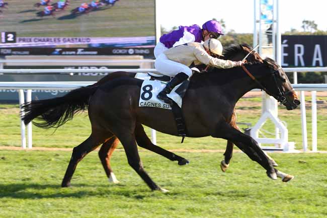 Photo d'arrivée de la course pmu PRIX CHARLES GASTAUD à CAGNES-SUR-MER le Vendredi 20 janvier 2017