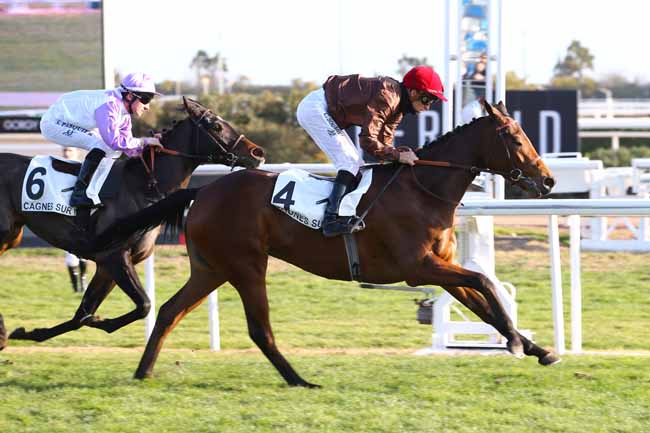 Photo d'arrivée de la course pmu PRIX BONNARD à CAGNES-SUR-MER le Vendredi 20 janvier 2017
