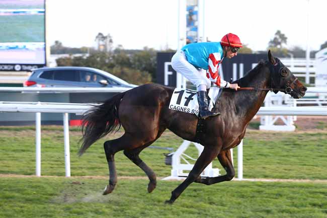 Photo d'arrivée de la course pmu PRIX DU COL DE VENCE à CAGNES-SUR-MER le Vendredi 20 janvier 2017