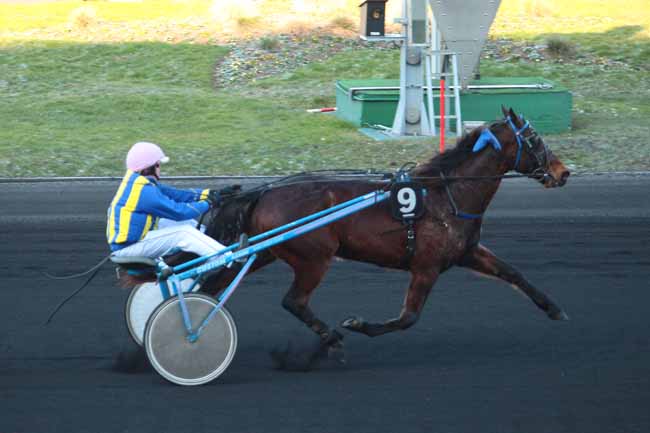 Photo d'arrivée de la course pmu PRIX DE SAINT-POL à PARIS-VINCENNES le Vendredi 20 janvier 2017