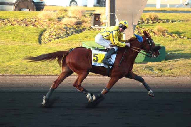 Photo d'arrivée de la course pmu PRIX DE LA FERTE BERNARD à PARIS-VINCENNES le Vendredi 20 janvier 2017